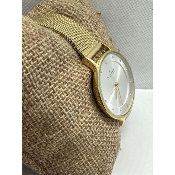 Skagen Anita Lille SKW2150 Women\'s Gold-Tone Stainless Steel Analog Watch JNA899 main image 4